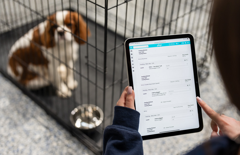 L’iPad permet aux personnes qui s’occupent des animaux d’actualiser en temps réel leur dossier, notamment leur alimentation et les médicaments administrés, à l’aide de Gingr, une app de gestion destinée aux entreprises du secteur animalier.