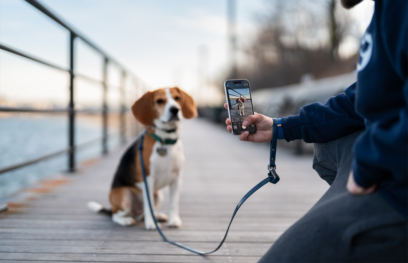 La qualité exceptionnelle de la caméra de l’iPhone donne du cachet aux comptes rendus transmis aux propriétaires.