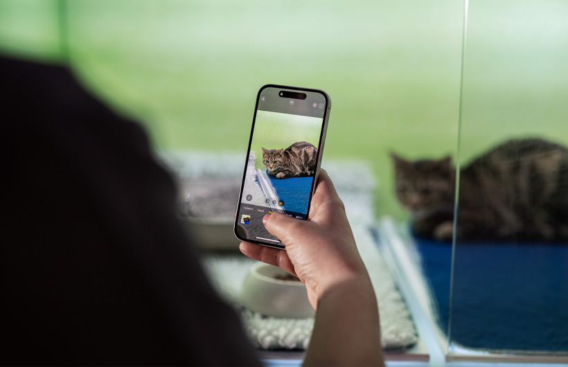 Les vétérinaires utilisent l’iPhone pour envoyer régulièrement des photos des animaux à leur propriétaire, ce qui dissipe d’autant mieux ses inquiétudes.