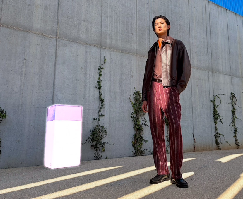 أداة التنظيف في Apple Intelligence تسلط الضوء على عنصر في خلفية صورة